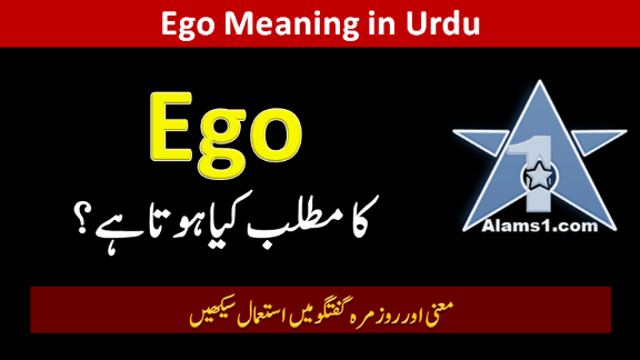 Ego Meaning in Urdu