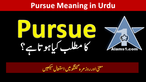 Pursue Meaning in Urdu