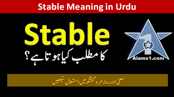 Stable Meaning in Urdu